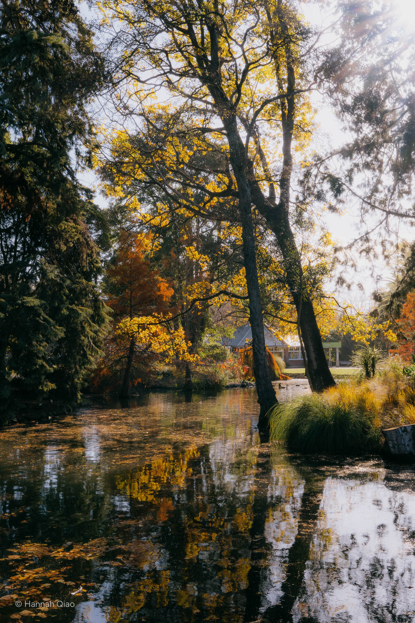 Photo of a lake during autumn surrounded by trees