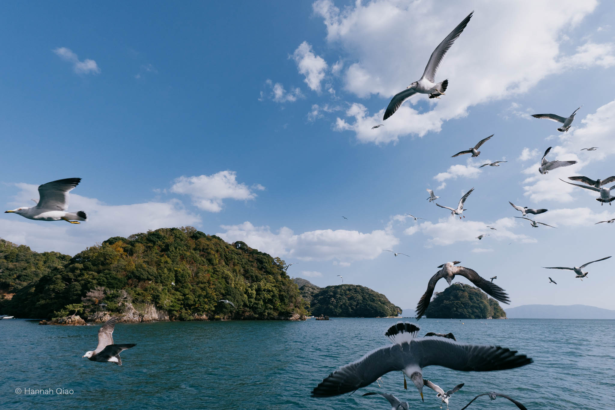 Photo of islands with seagulls surrounding the scene